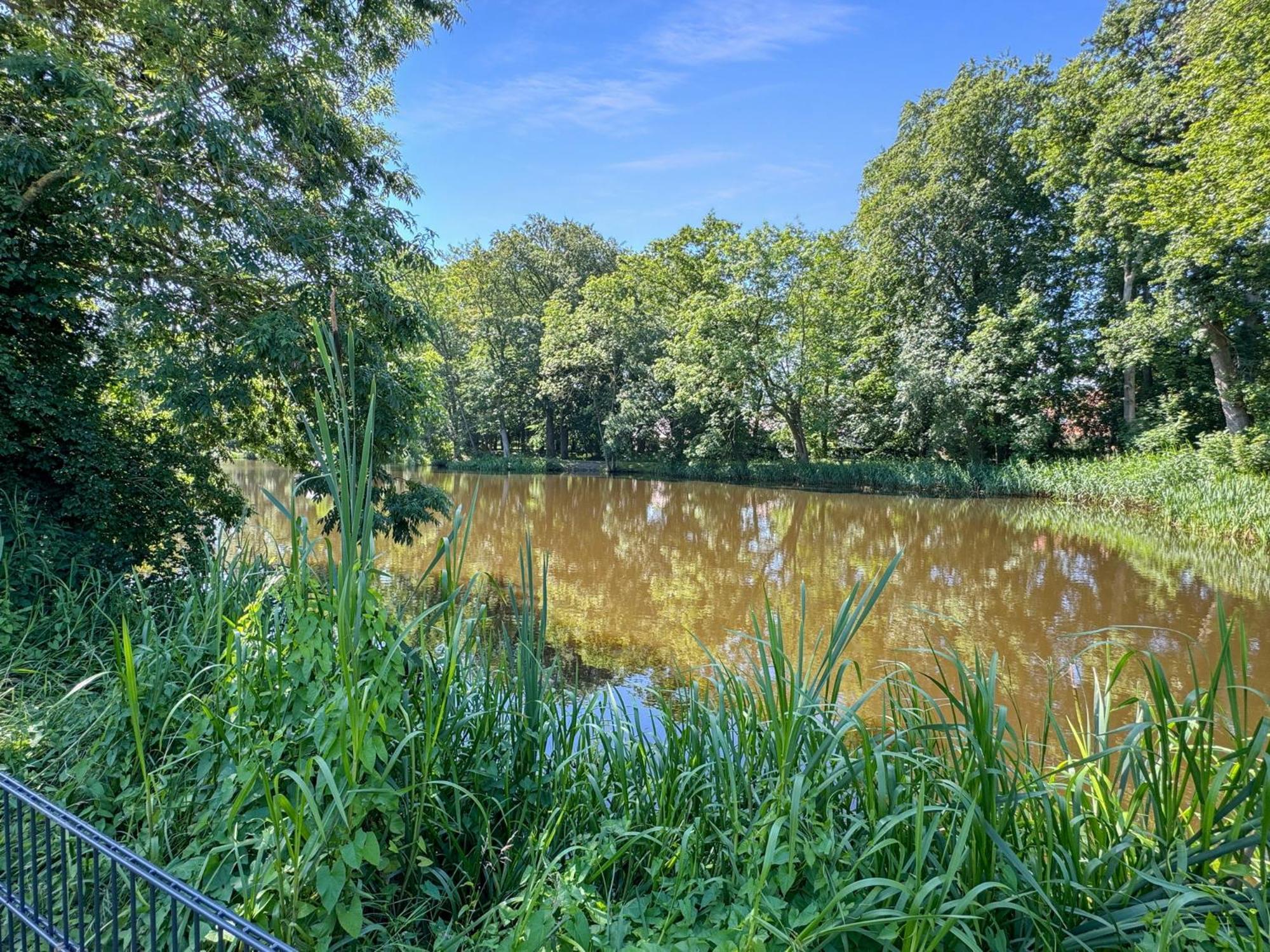 Cblue: Seeblick, Kamin, Wallbox, Natur Бентвиш Экстерьер фото